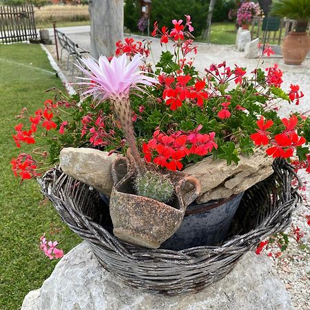 Campagna D'Amare Apartment Atessa Екстериор снимка