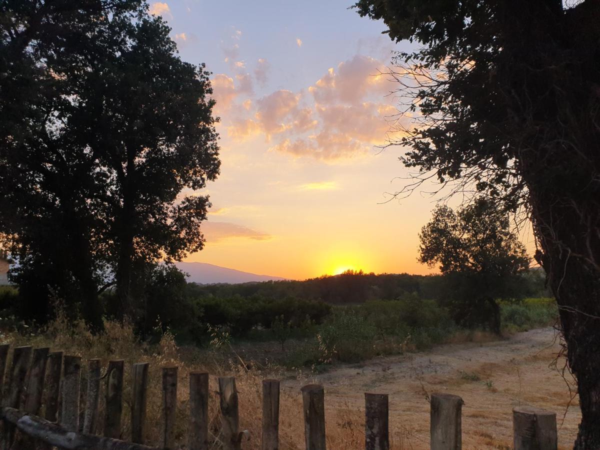 Campagna D'Amare Apartment Atessa Екстериор снимка
