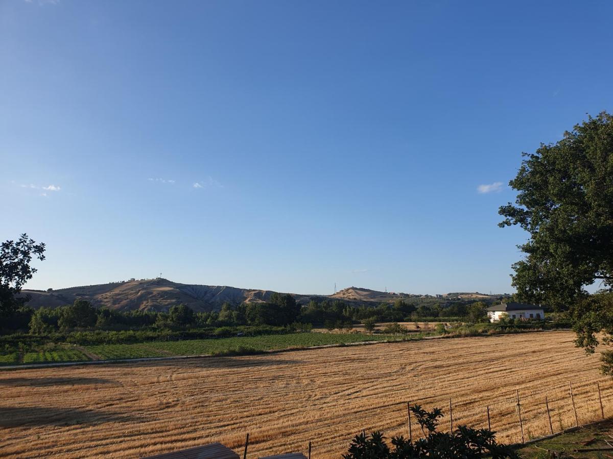 Campagna D'Amare Apartment Atessa Екстериор снимка
