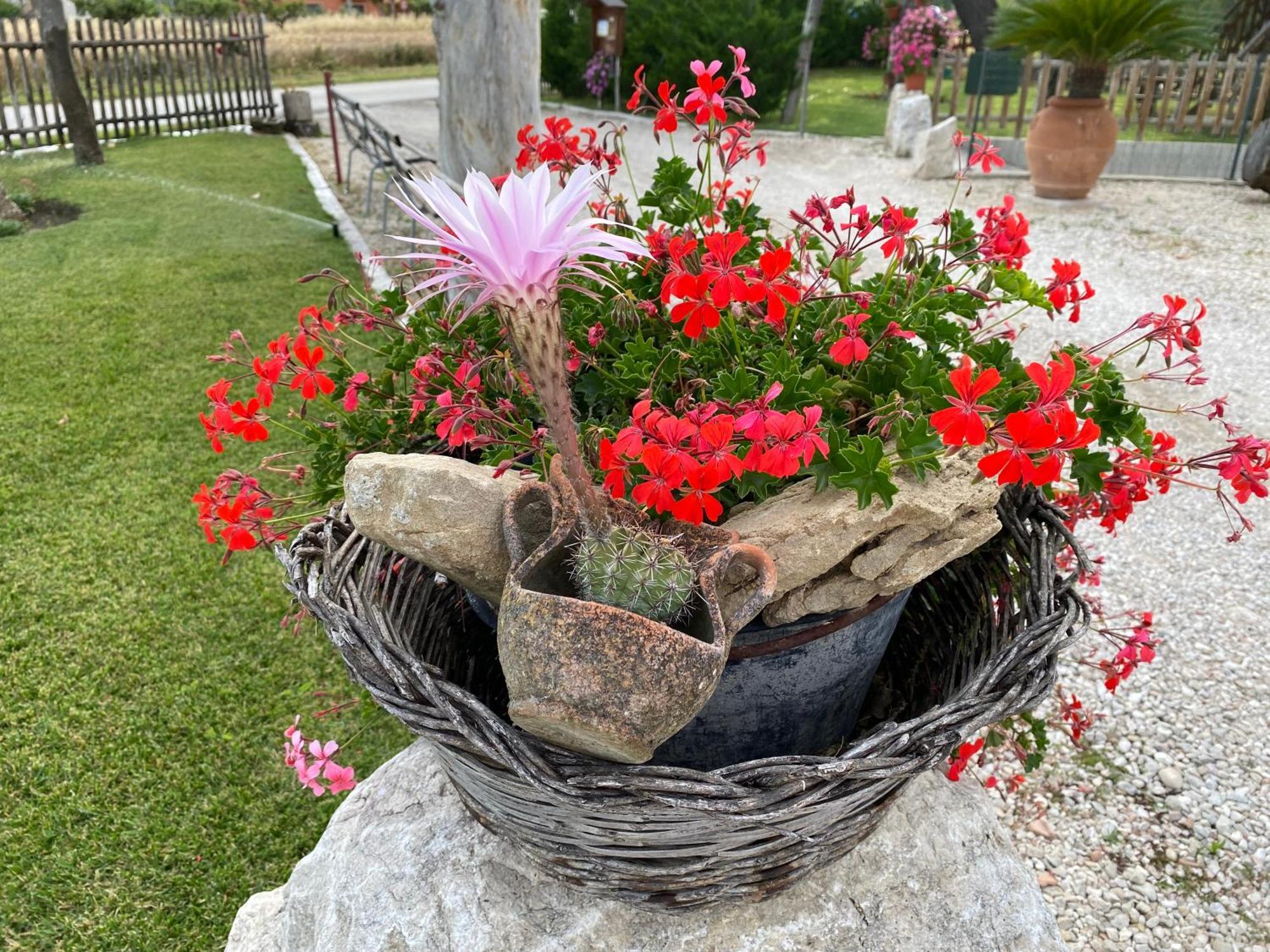 Campagna D'Amare Apartment Atessa Екстериор снимка